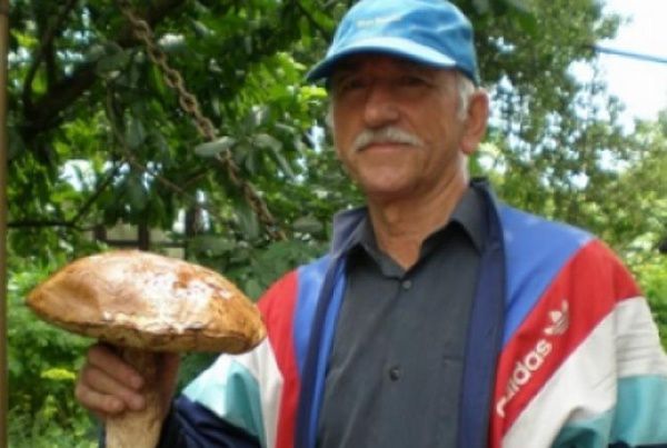 У Волинській області знайшли гриб вагою в півтора кілограми. Діаметр капелюшка гриба становив аж 30 сантиметрів.