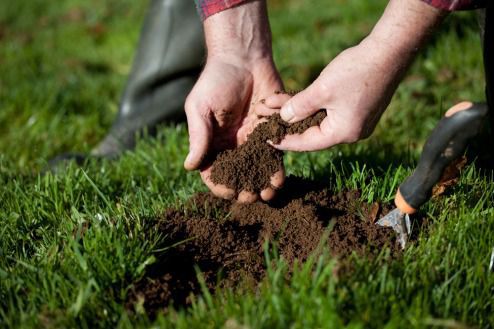 Дуже простий та незвичний спосіб визначення кислотності ґрунту в домашніх умовах. Як визначити кислотність ґрунту на дачній ділянці, на городі самостійно.