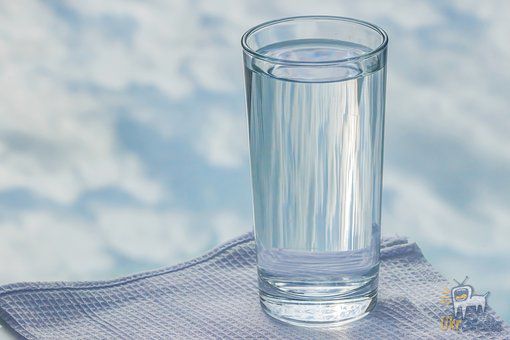 У чому справжня користь ранкової склянки води?. Кілька причин вживання  ранкової склянки води з медом або лимоном.