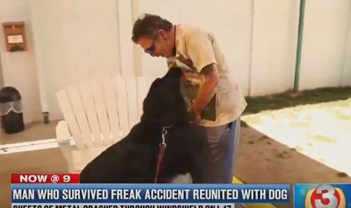 За мить до зіткнення він нахилився, щоб прикрити собаку. А в підсумку це врятувало йому життя. Справедлива нагорода.