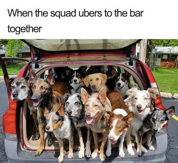 15 дивовижних мемів, зроблених про водіїв Убер. Чого тільки не зустрінеш, подорожуючи.