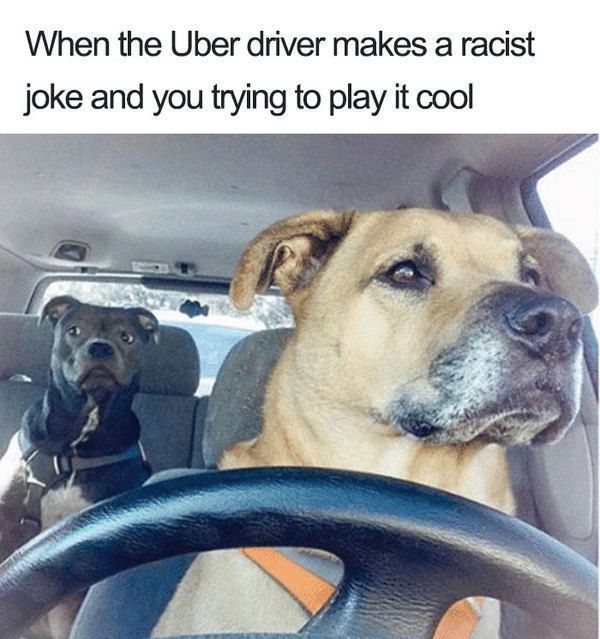 15 дивовижних мемів, зроблених про водіїв Убер. Чого тільки не зустрінеш, подорожуючи.