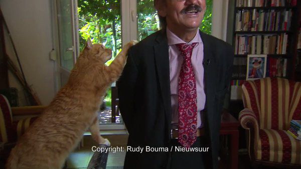Академік дав абсолютно звичайне інтерв'ю з котом на голові. Реакція вченого вбила Інтернет.