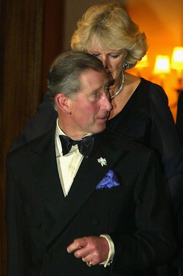 Що сказала принцеса Діана Каміллі, коли дізналася про любовні пригоди свого чоловіка. У 1986 році щасливе сімейне життя відомої королівської пари похитнулася через появу третьої особи — коханки.