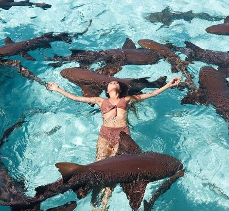 Дівчина захотіла зробити селфі в басейні з акулами і поплатилася. Американська топ-модель заради хайпа вирішила сфотографуватися в басейні з акулами. Що могло піти не так, справді?