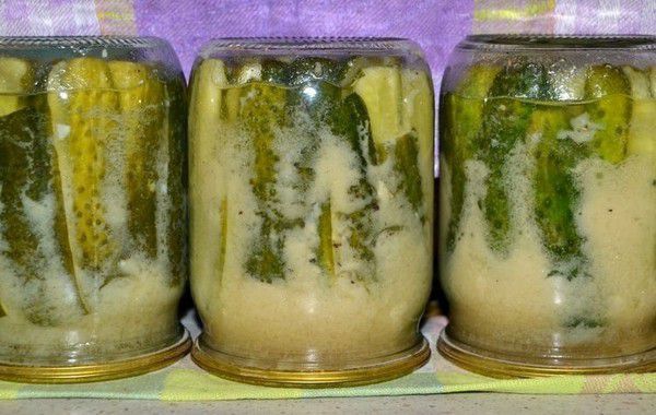 Найсмачніші огірки повинні бути неодмінно хрусткими - консервуємо зеленці з гірчицею. Цікавий та простий рецепт.