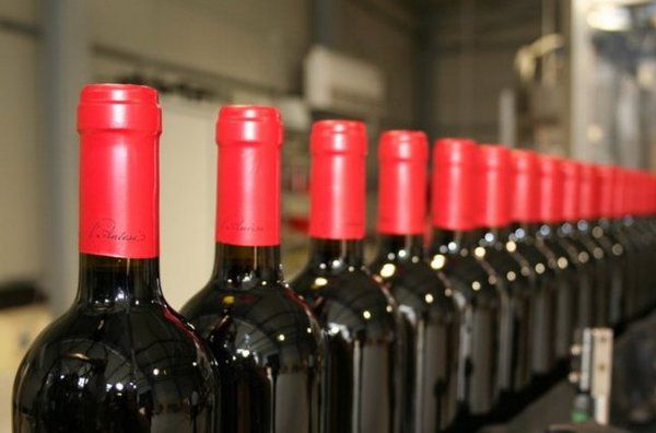 В Україні з'явилося більше італійського вина. На перших двох сходинках за імпорт виноградного вина до України опинились Італія і Франція.