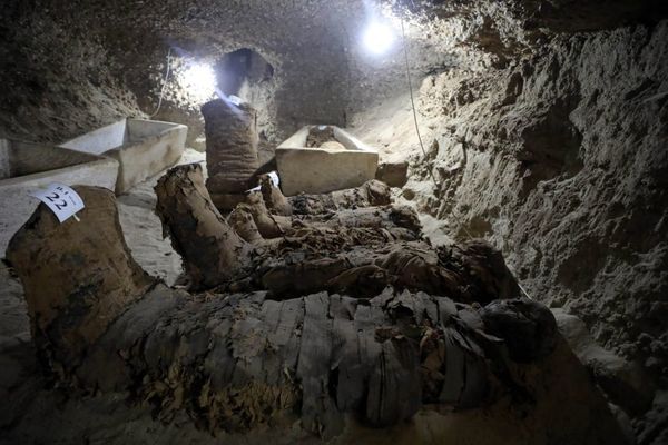 Вчені знайшли в Єгипті 8 мільйонів незвичайних мумій. Під час розкопок підземних тунелів в єгипетській пустелі британські археологи виявили мільйони мумій собак.