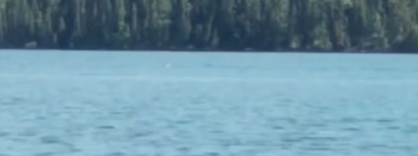 У китайському озері помітили невідоме чудовисько. Працівник заповідника озера Канас в Китаї заявив, що бачив місцеве «лох-несське чудовисько».