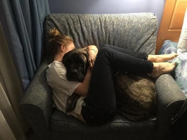 Дівчина попрощалася зі своєї хворою собакою, виконавши всі бажання домашнього друга. Ще одна зворушлива історія, яка доводить, що собака - справжній друг людини.
