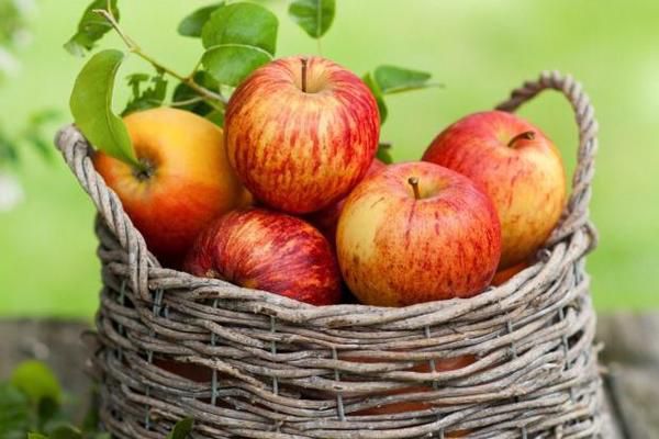 Чим замінити каву. Кращі продукти для бадьорості.