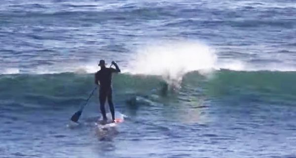 Хлопець вирішив підкорити хвилі, але в цей день його чекав сюрприз. Це щось! (відео). Ендрю – 54-річний серфінгіст з Північної Австралії.