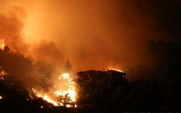 Пожежі в Греції: кількість жертв збільшилася до півсотні. Ситуація з лісовими пожежами в Греції вийшла з-під контролю, кількість жертв збільшилася до 50 осіб.