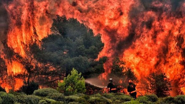 Пожежі в Греції. Кількість жертв зросла до 87.