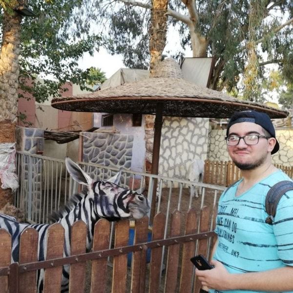 Хлопець знайшов у зоопарку зебр, які виглядали дуже підозріло. Виявилося, що вони — самозванці. Назвати їх зеброю можна лише з натяжкою.