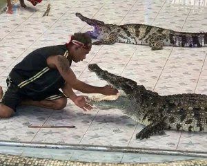У Таїланді крокодил напав на дресирувальника прямо під час вистави.    45-річний дресирувальник Тао (Tao) виконував трюк під час представлення, який регулярно влаштовується на крокодиловій фермі.