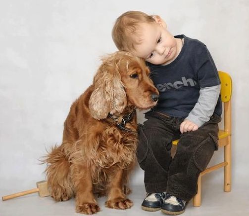 Кращі собаки для дітей: ТОП-5 найбільш доброзичливих вихованців!. Які собаки - найкращі? Що може бути приємніше для батьків, ніж бачити посмішку своєї дитини? А для того, щоб малюк щиро радів, потрібно просто подарувати йому собаку.
