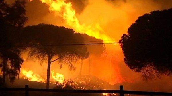 Масштабна лісова пожежа загрожує природному парку в Іспанії. В Іспанії поблизу одного із знаменитих природних парків Естречо розпочалася лісова пожежа, вогонь загрожує деревам і птахам.