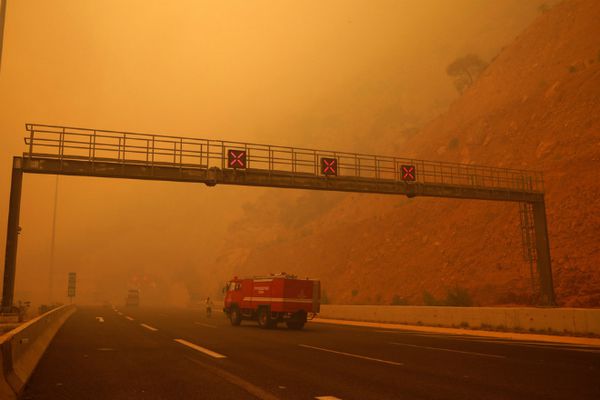 Випалена земля: безпілотник зняв наслідки масштабних пожеж в Греції. Лісові пожежі цього тижня вже назвали в Греції національною трагедією.