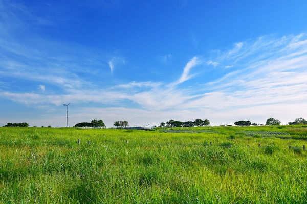 Прогноз погоди в Україні на 4-5 серпня: спека до +32°, зливи з грозами. На вихідних, 4-5 серпня, збережеться по-літньому спекотна погода, але не обійдеться без дощів з грозами.