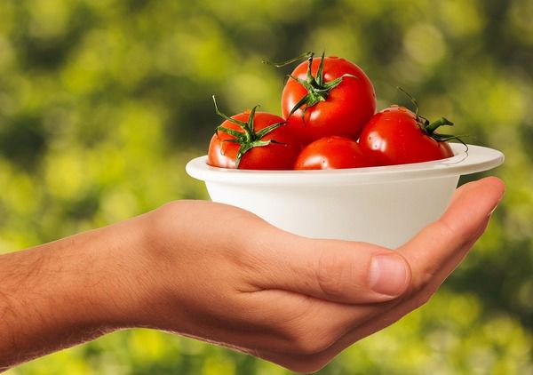Що буде з організмом, якщо регулярно їсти помідори. Томати і томатна паста, як змогли переконатися вчені, є суперпродуктом щодо захисту від передчасного старіння і ранніх зморшок.