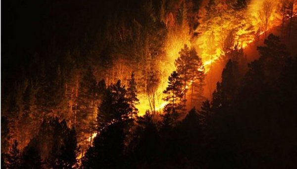 Лісові пожежі в Каліфорнії будуть бушувати до кінця серпня. Найбільша в історії Каліфорнії лісова пожежа триватиме до кінця серпня.