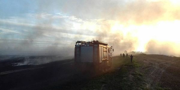 Неподалік Львова відбулася масова пожежа. Вчора, 8 серпня, сталася пожежа в с. Гаї Пустомитівського району, в результаті чого вогнем було знищено стерню.