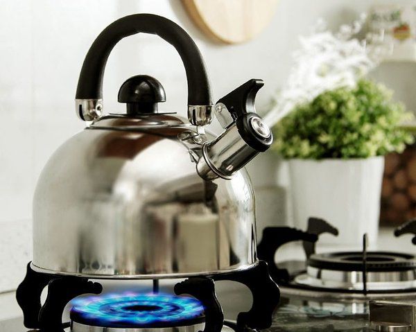 Чому воду для заварювання чаю не можна доводити до кипіння. Головне – правильно заварювати чай.