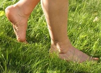Закарпатці, гуляйте вранці босоніж по траві. Це приємно і корисно!