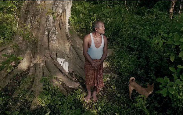 Майже 40 років тому, будучи 16-річним, цей чоловік почав висаджувати на віддаленому острові кожен день дерево, і тепер це місце не впізнати. Це неймовірно!