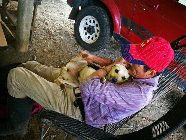 Люди думали, що на дорозі лежить п'яний чоловік, і проходили повз. Тільки пес намагався врятувати господаря!. Ця зворушлива історія сталася в  місті Гуапілес.