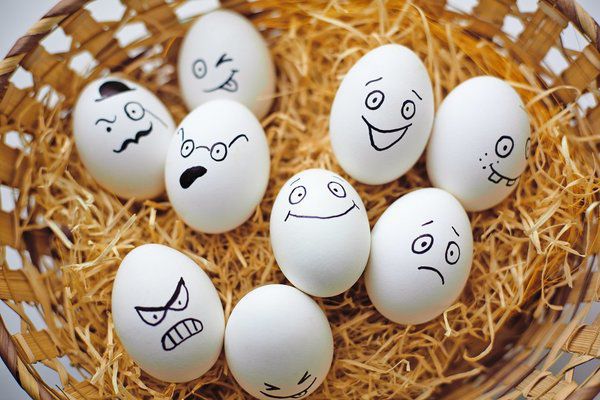 Скільки яєць можна з'їдати щодня: відповідь вчених. Домашні яйця здатні принести користь організму людини, на відміну від промислового варіанту, де є антибіотики і гормони. Яка кількість даного продукту піде на здоров'я, читай в матеріалі.