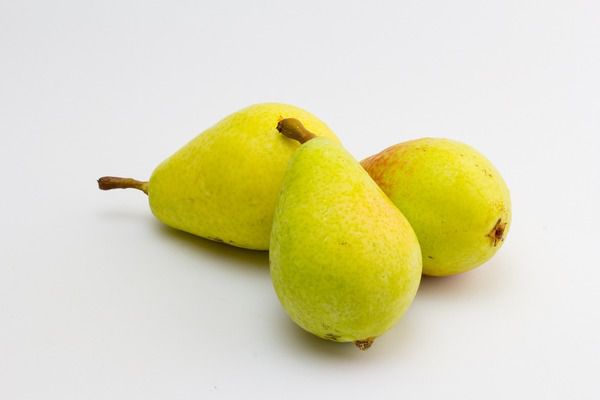Чим корисні груші і кому їх потрібно їсти. Через низький вміст калорій груші рекомендуються в різних дієтах.