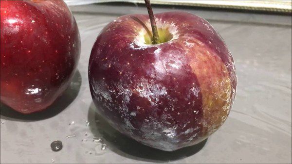 Перед тим, як їх їсти, перевірте яблука під гарячою водою. Ось що це за наліт. Будьте  обережні.