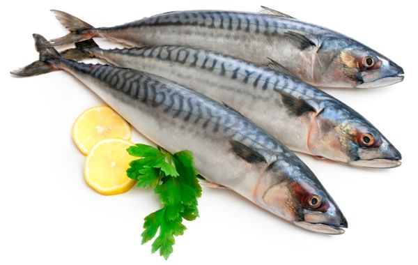 Чим корисна скумбрія. Ми докладніше розповімо про користь скумбрії , а також поділимося рецептом приготування цієї смачної морської риби з овочами. Буде пізнавально і дуже апетитно.