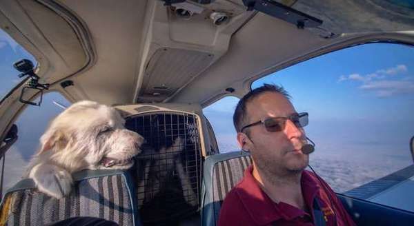 «Просто пасажир!!!». Радісний пес приєднався до пілота під час польоту. Неймовірна історія про те, як звичайний пес вижив і побував на борту літака.
