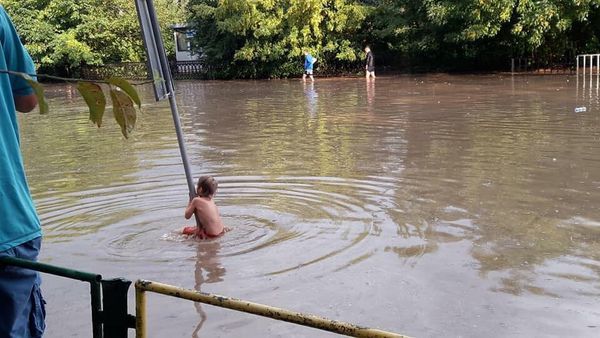 Львів "поплив": рух електротранспорту зупинено. Потужна злива пройшла у Львові, внаслідок чого затопило низку вулиць міста.