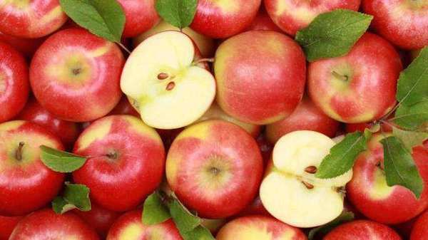 10 причин їсти яблука кожен день. Яблука зміцнюють судини, допомагають при авітамінозі, а також покращують колір обличчя.
