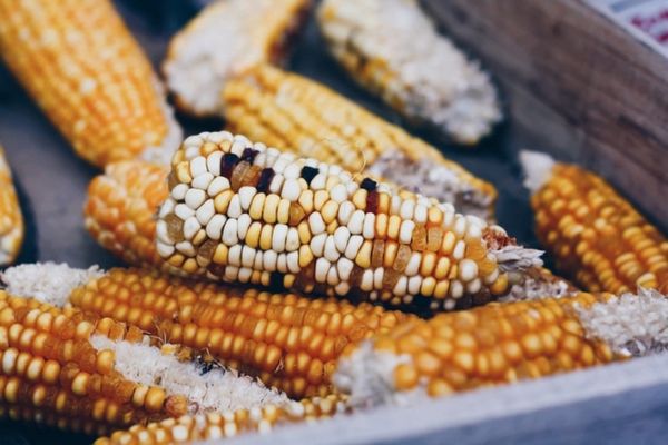 4 незвичайні способи приготувати кукурудзу. Кілька способів приготування кукурудзи.