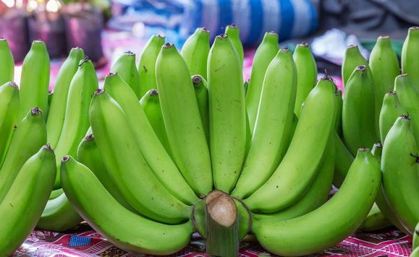 Які банани найкорисніші: визначаємо за кольором. Про корисні властивості бананів не доводиться сперечатися.