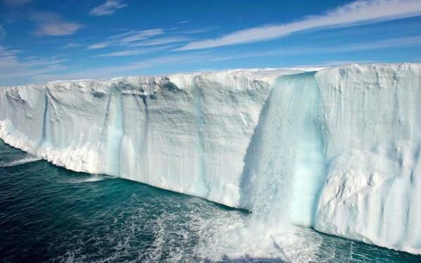 В Арктиці руйнується найстаріший  лід на Землі. Ця ситуація ставить під загрозу виживання гренландських тюленів і білих ведмедів.