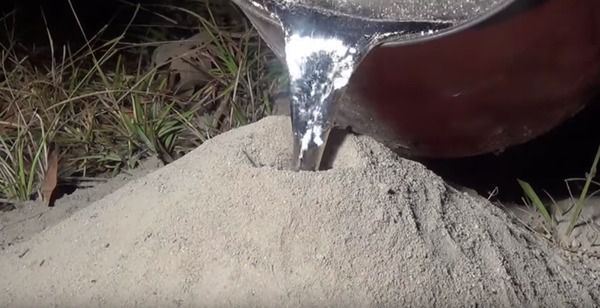 Він налив розплавлений метал в мурашник. Коли ви побачите результат, будете вражені!. У цьому відео ти побачиш, як мурашник виглядає насправді. Це мистецтво!