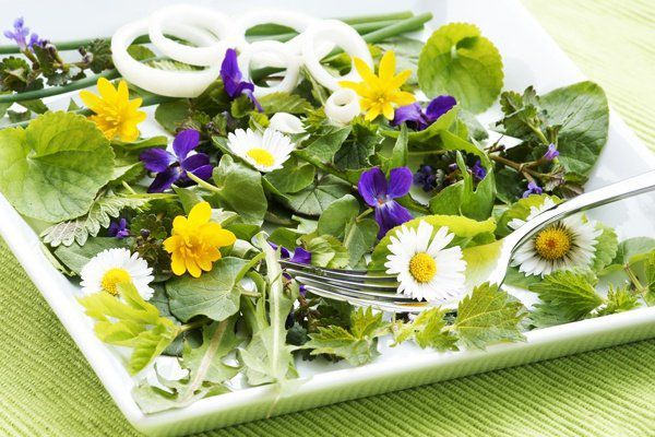 10 причин використовувати в раціоні харчування їстівні квіти. Їстівні квіти в цьому році увійшли в щорічний список продовольчих тенденцій.
