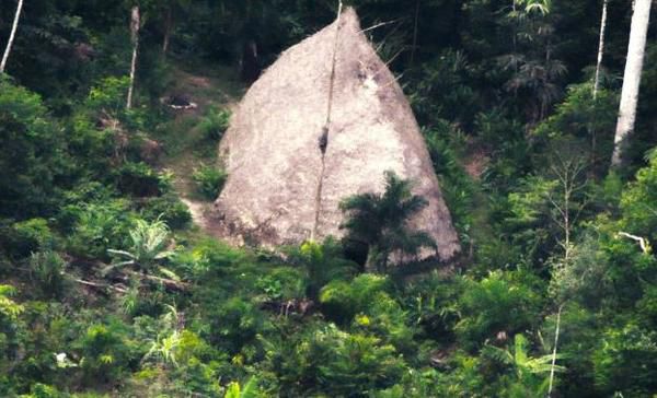 Вчені знайшли в Бразилії дивовижне загублене плем'я дикунів. Його жителі ніколи не контактували з зовнішнім світом.
