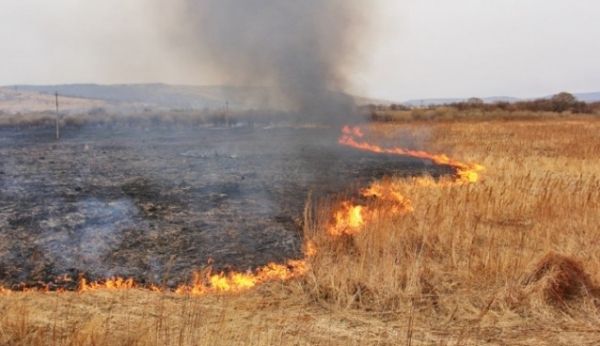 Масштабне загоряння трави сталося на Полтавщині. У Полтавській області сталося займання трави на площі 10 га.