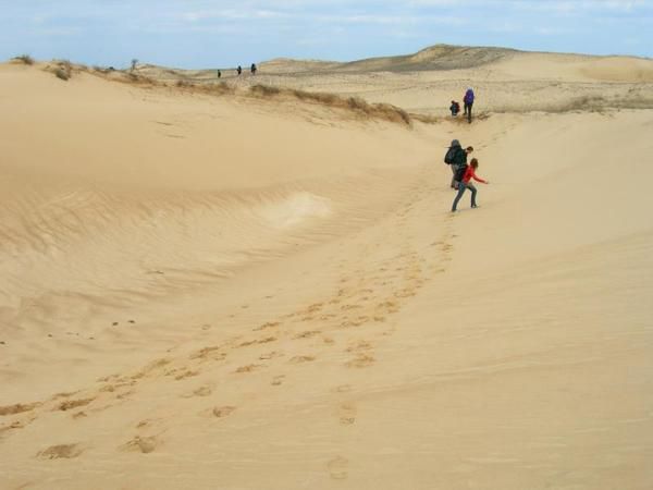 Вчені видали дивовижний прогноз на тему клімату в Україні. В Херсонській області вже знаходиться найбільша в Європі пустеля — Олешківські піски.