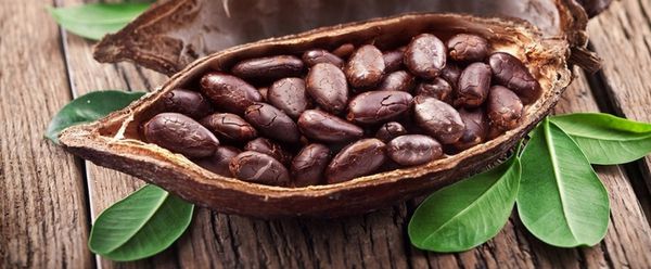 Чим корисний для здоров'я какао-порошок. Причини, по яких варто мати какао в своєму раціоні.