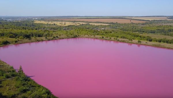 Озера під Самарою несподівано набули рожевий колір. Висувається  гіпотеза, що вода забарвилася через цвітіння водоростей і бактерій, які виробляють червоний пігмент.