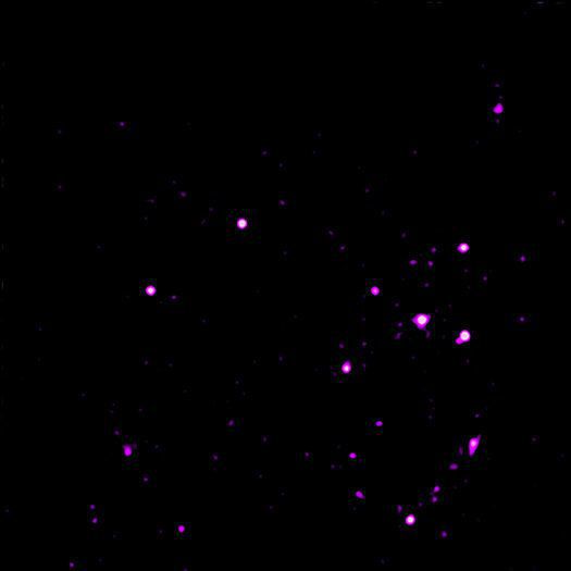 Нові дані «Чандри» виявили кільце яскравих джерел рентгенівського випромінювання в галактиці в 300 мільйонів світлових років від Землі. Астрономи вважають, що це або чорні дірки, або нейтронні зірки.