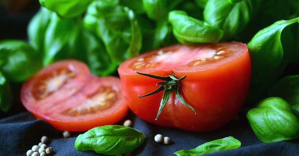 Звичайний помідор містить багато корисного для вашої фігури, шкіри і омолодження, впевнені американські вчені. Причини, чому вам варто їсти помідори.
